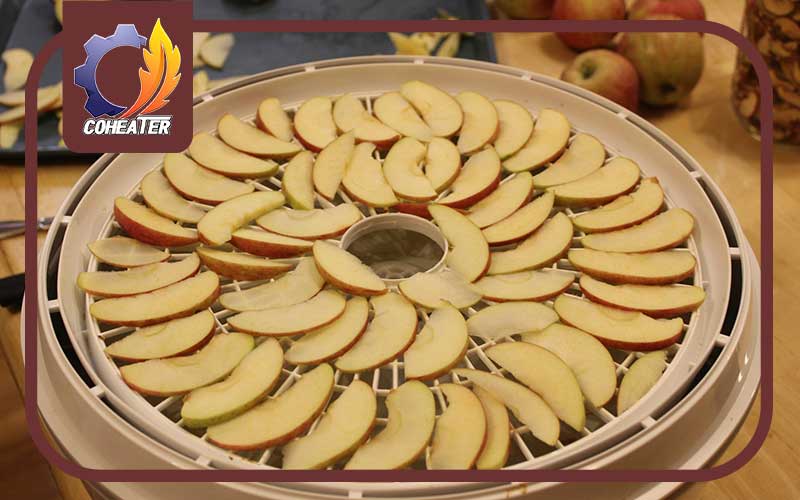 طرز خشک کردن سیب
