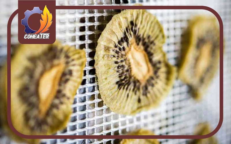 خشک کردن کیوی