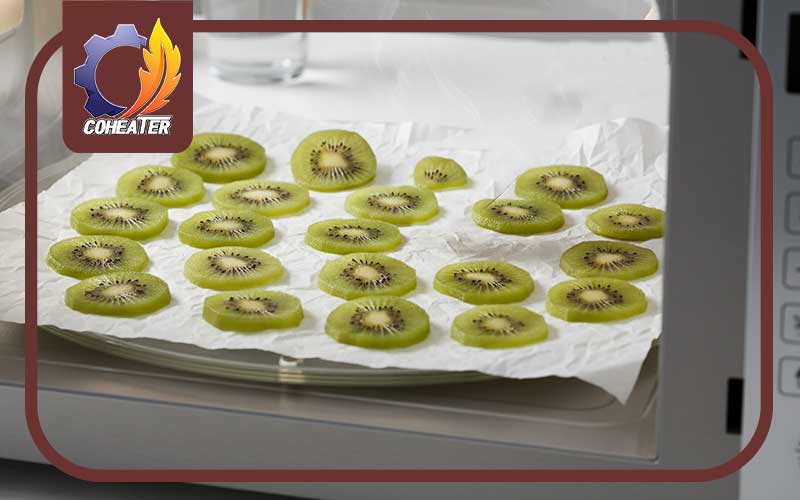 نحوه خشک کردن کیوی در ماکروفر