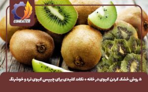 ۵ روش خشک کردن کیوی در خانه + نکات کلیدی برای چیپس کیوی ترد و خوشرنگ