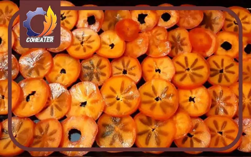 خشک کردن خرمالو با دستگاه خشک کن