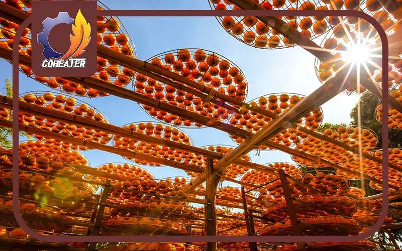 خشک کردن خرمالو در دستگاه