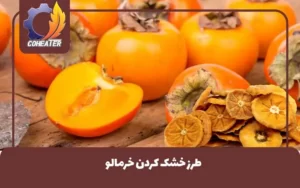 طرز خشک کردن خرمالو