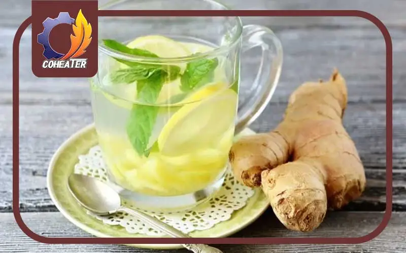 چگونه زنجبیل را خشک کنیم
