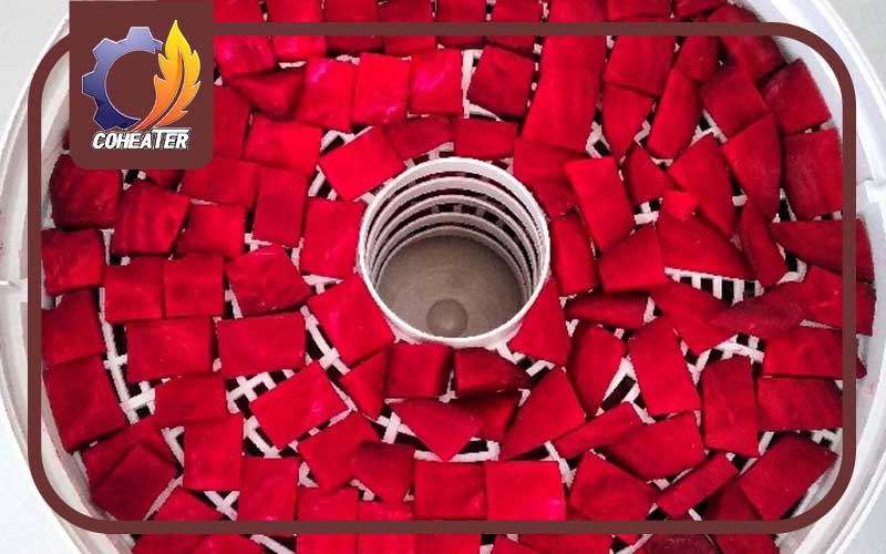 خشک کردن چغندر قرمز در خانه