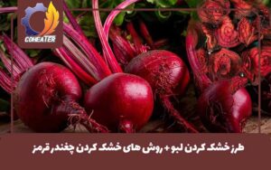 طرز خشک کردن لبو + روش های خشک کردن چغندر قرمز