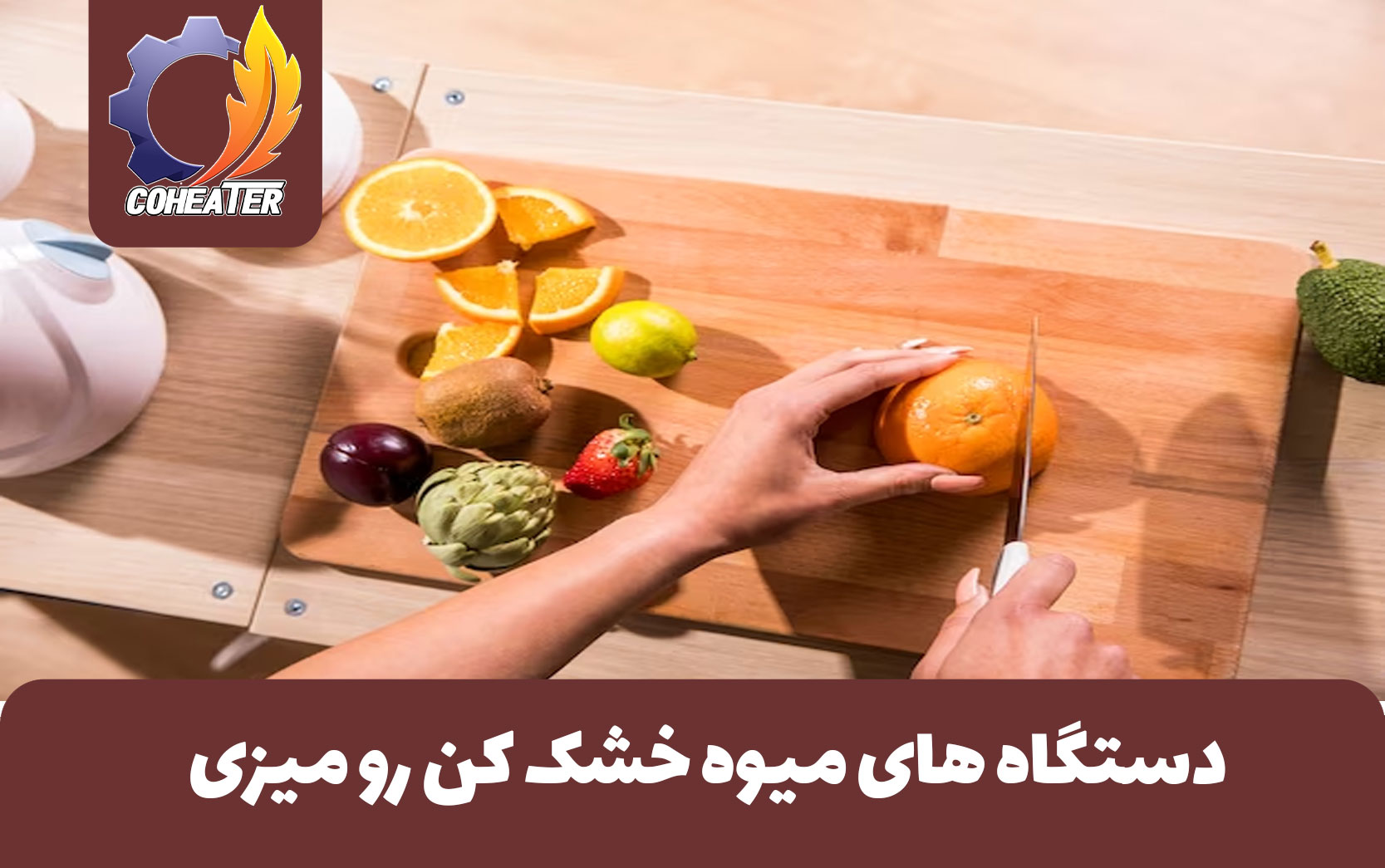 میوه خشک کن رو میزی