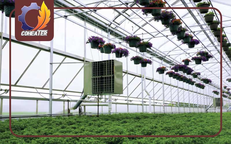 بهترین نوع هیتر گلخانه‌ای,greenhouse-heater,بهترین هیتر گلخانه ای