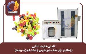 کاهش ضایعات غذایی | راهکاری برای حفظ منابع طبیعی با خشک کردن میوه‌ها