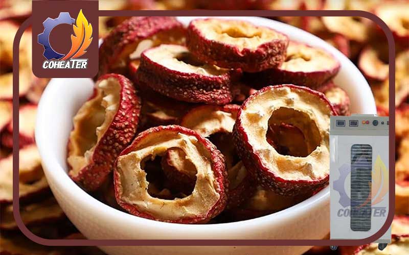 طرز خشک کردن زالزالک