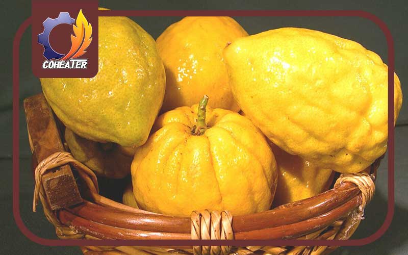 فواید میوه خشک