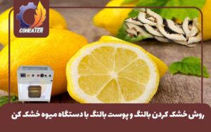 روش خشک کردن بالنگ و پوست بالنگ با دستگاه میوه خشک کن, بالنگ خشک شده