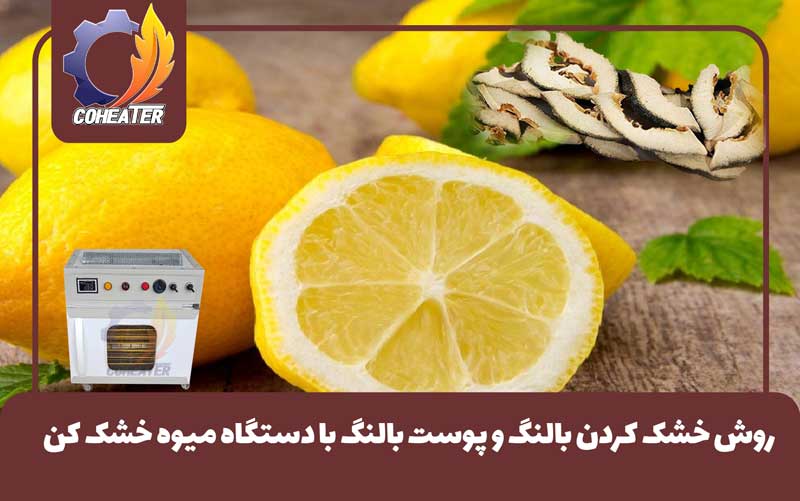 روش خشک کردن بالنگ و پوست بالنگ با دستگاه میوه خشک کن, بالنگ خشک شده