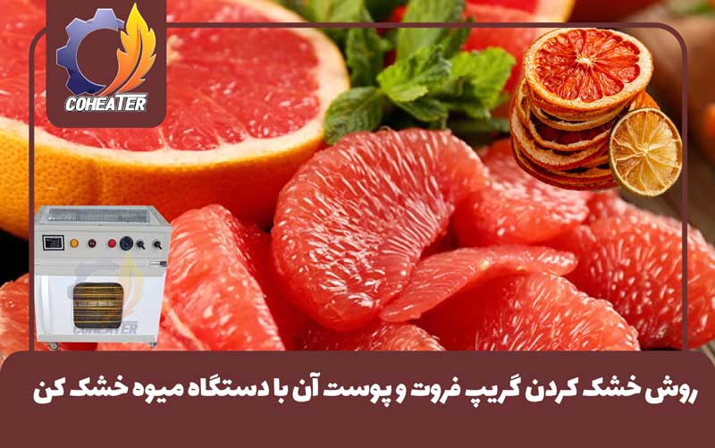 روش خشک کردن گریپ فروت و پوست آن با دستگاه میوه خشک کن,طرز خشک کردن گریپ‌ فروت