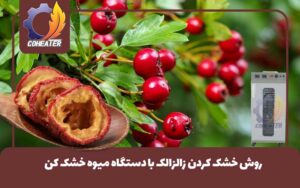 روش خشک کردن زالزالک با دستگاه میوه خشک کن,طرز خشک کردن زالزالک