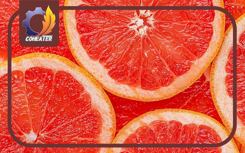 موارد استفاده از گریپ فروت خشک