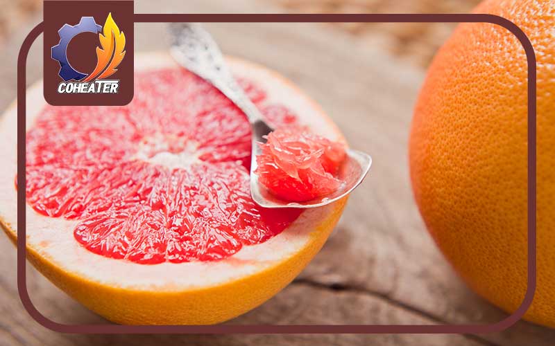 روش های خشک کردن گریپ فروت