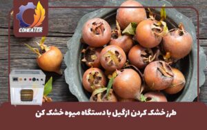 طرز خشک کردن ازگیل با دستگاه میوه خشک کن, دستگاه خشک کن ازگیل