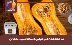 طرز خشک کردن کدو حلوایی با دستگاه میوه خشک کن,طرز خشک کردن کدو حلوایی 