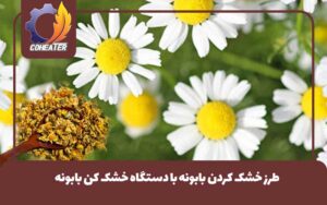 طرز خشک کردن بابونه با دستگاه خشک کن بابونه,روش های خشک کردن بابونه