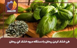 طرز خشک کردن ریحان با دستگاه میوه خشک کن ریحان,خشک کردن ریحان