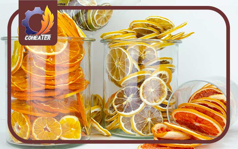 تهیه میوه خشک پاستیلی