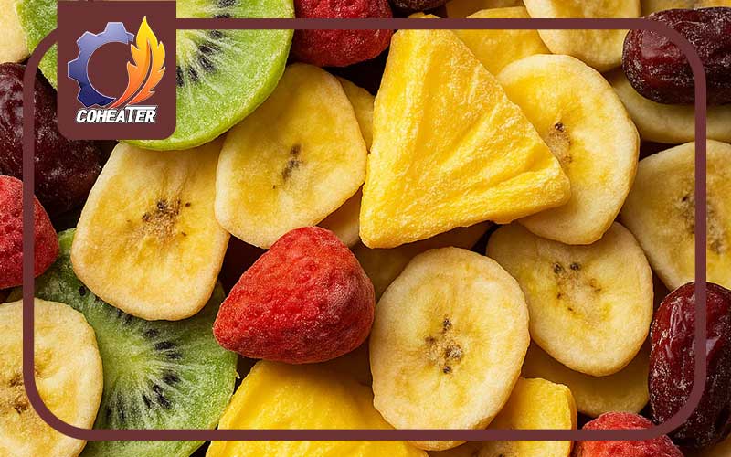 آموزش میوه خشک پاستیلی