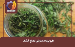 طرز تهیه دمنوش نعناع خشک,راهنمای تهیه دمنوش نعناع خشک