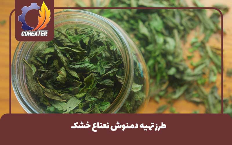 طرز تهیه دمنوش نعناع خشک,راهنمای تهیه دمنوش نعناع خشک