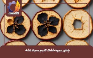 چطور میوه خشک کنیم سیاه نشه