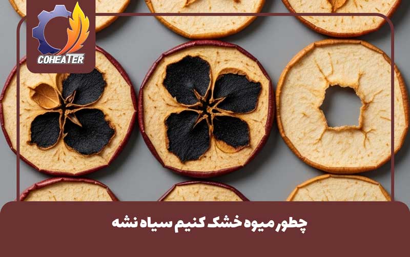 چطور میوه خشک کنیم سیاه نشه