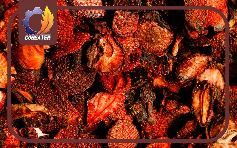 چگونه از سیاه شدن میوه خشک جلوگیری کنیم