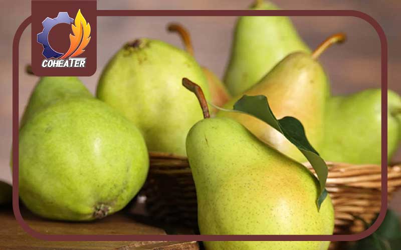 خشک کردن گلابی