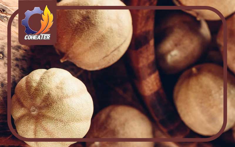 خشک کردن لیمو عمانی